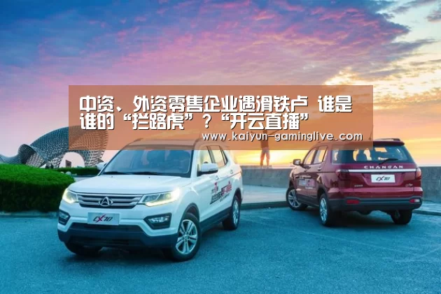 中资、外资零售企业遇滑铁卢 谁是谁的“拦路虎”?“开云直播”(图3) 开云直播