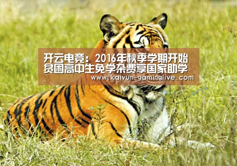 开云直播