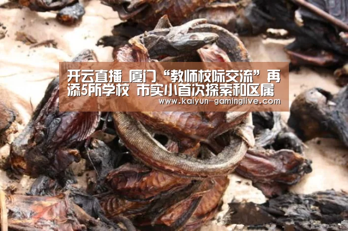 开云直播