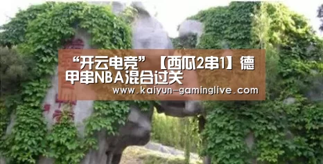 “开云电竞”【西瓜2串1】德甲串NBA混合过关(图2) 开云竞猜