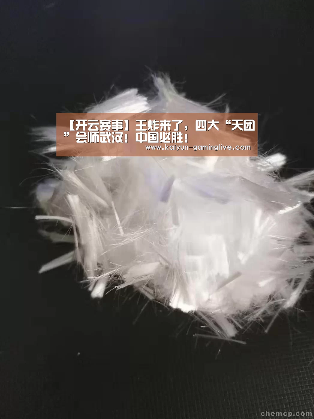 开云竞猜