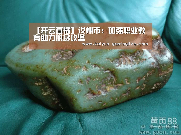 【开云直播】汝州市:加强职业教育助力脱贫攻坚(图3) 开云竞猜
