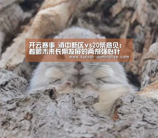 开云竞猜