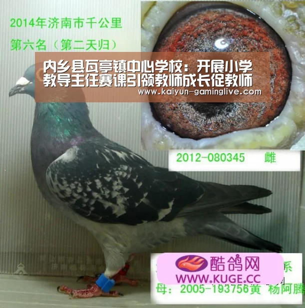 内乡县瓦亭镇中心学校:开展小学教导主任赛课引领教师成长促教师发展:开云竞猜(图3) 开云竞猜